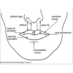 Article figure