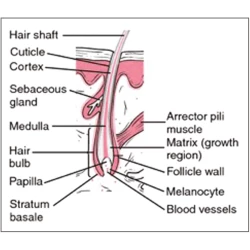 Article figure