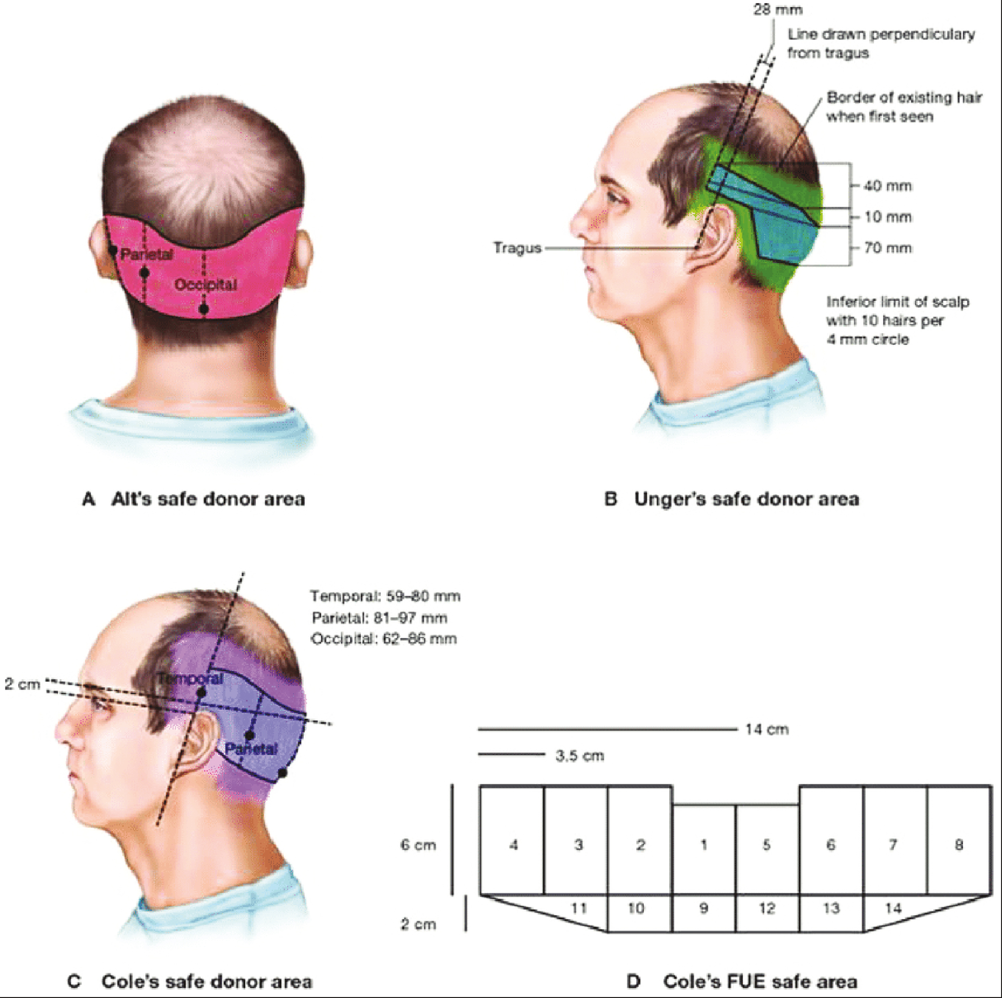 SDA definitions by Unger et al.[8]