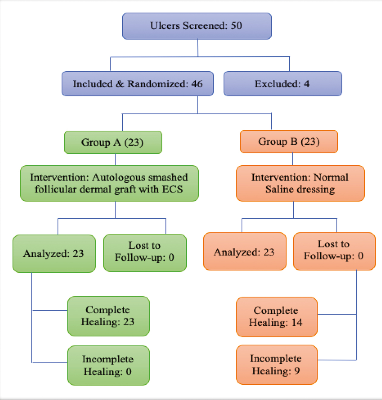 Flowchart depicting the randomization of the study