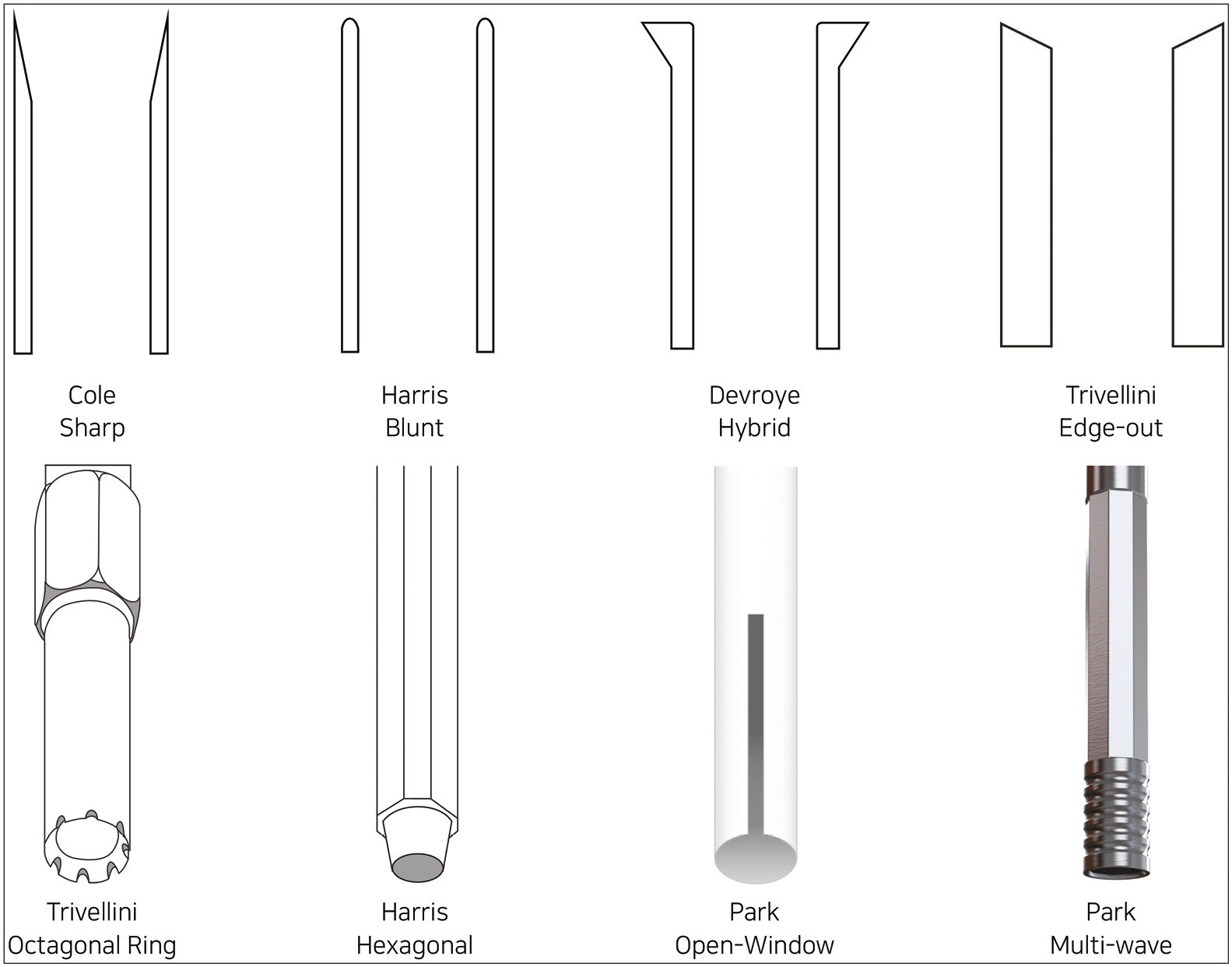 Various punch shapes for follicular unit excision.