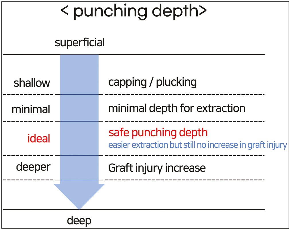 Concept of safe punching depth