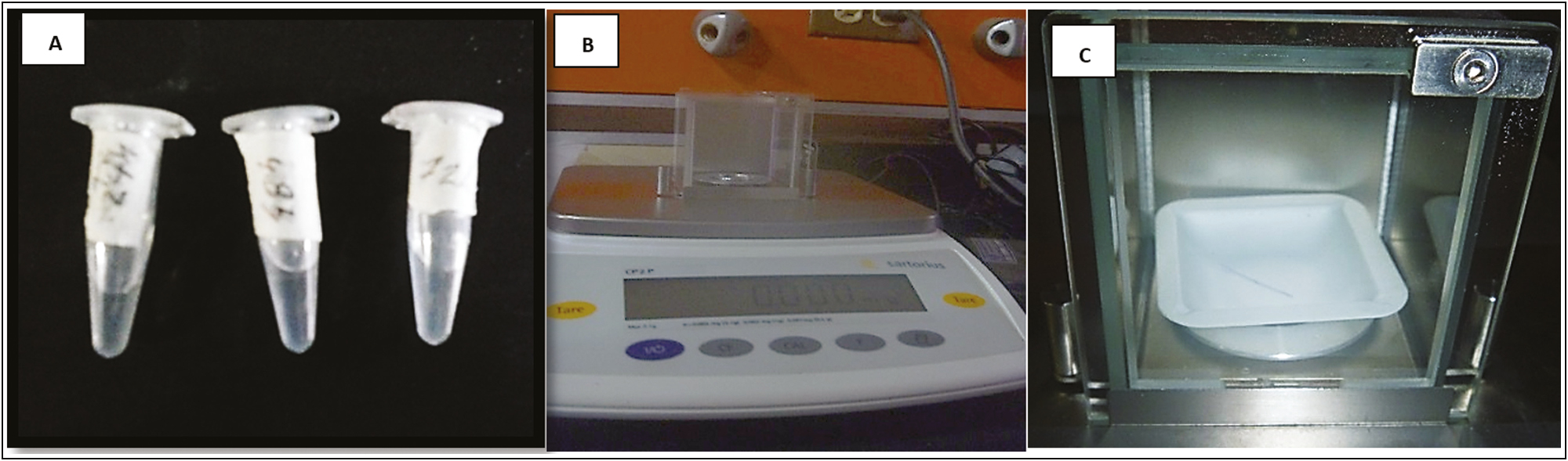 (A) PDO segments in the middle of immersion. (B) Calibrated electronic balance. (C) Purple segment of the PDO thread in the closed chamber of the electronic balance