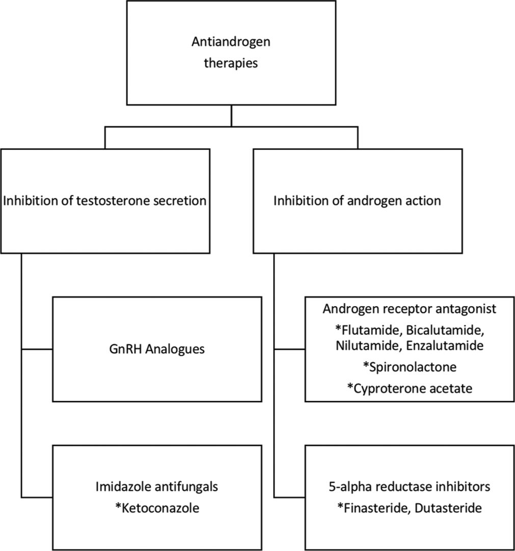 Classification of anti-androgen therapies. GnRH: Gonadotropin-releasing hormone. *Name of compounds(drugs) under the pharmaceutical classes