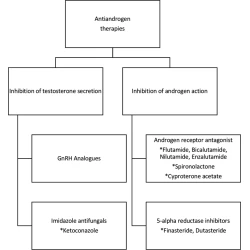 Article figure