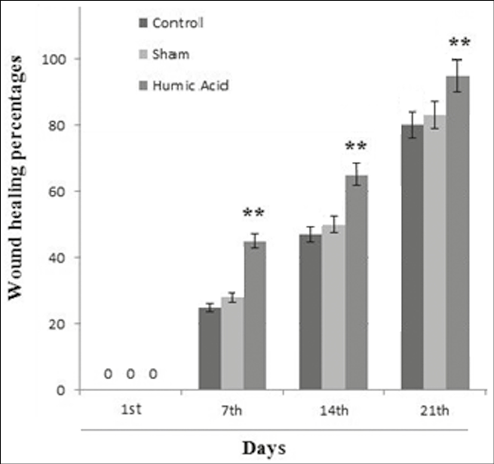 The percentage of healing in the groups at days 1, 7, 14, and 21 posttreatment (n = 8 rats/group). ** Significant change in comparison with control group P < 0.01