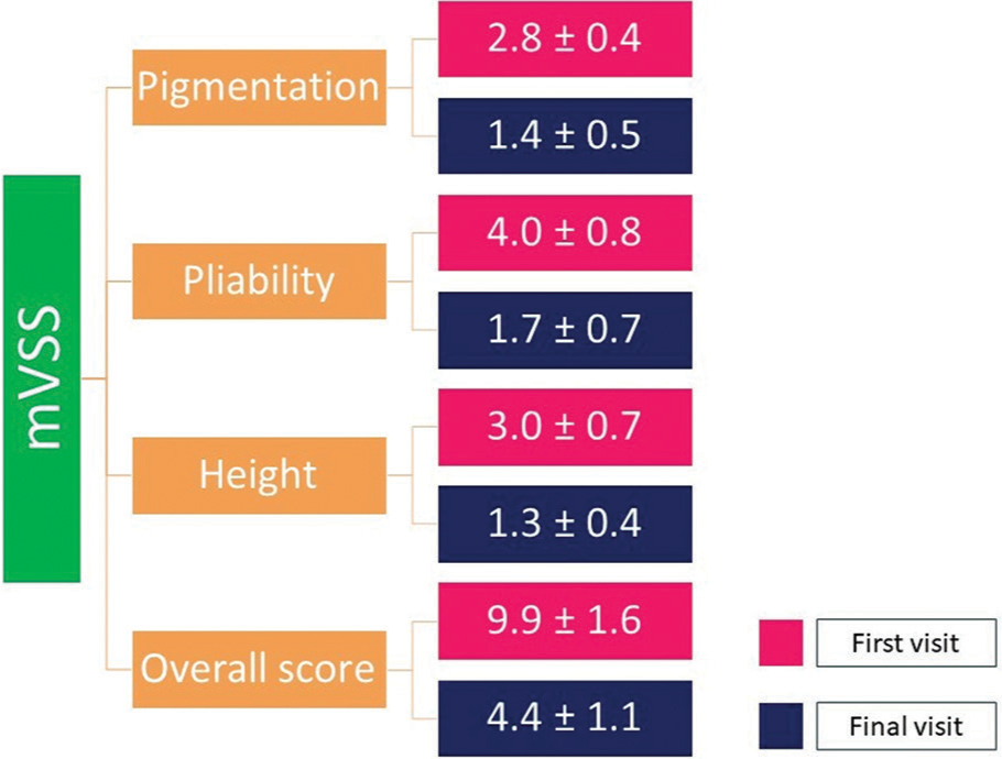 Image showing modified Vancouver scar scale parameters on the first and final visit.