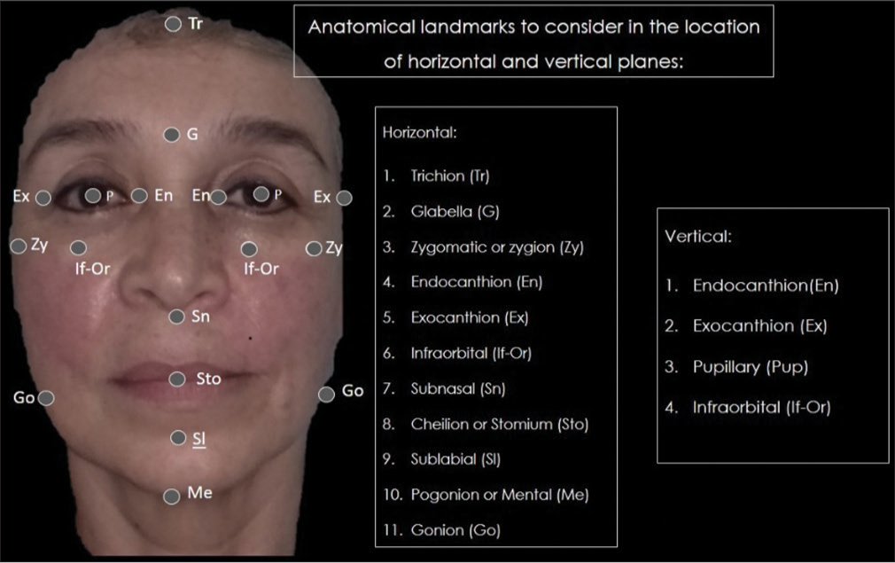 Referential anatomical landmarks for drawing Cartesian planes.