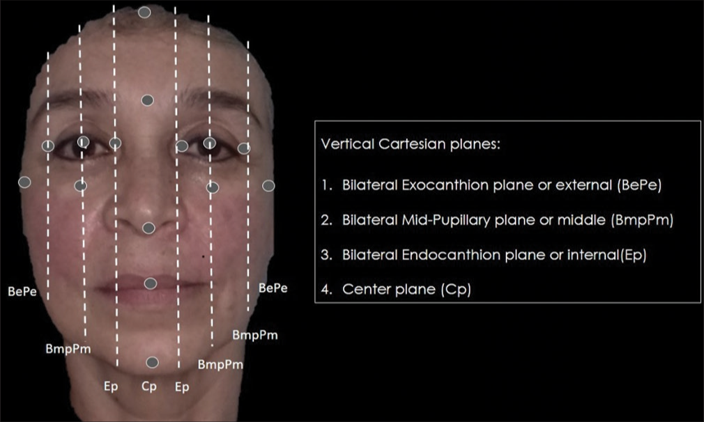 Vertical Cartesian planes of the face.