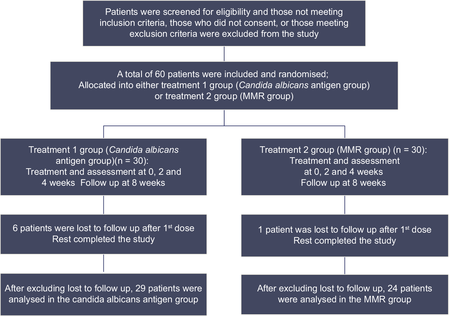 Flow of study participants according to consolidated standards of reporting trials. MMR: Mumps, measles, rubella